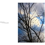 dailyPhoto38