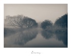 dailyPhoto30