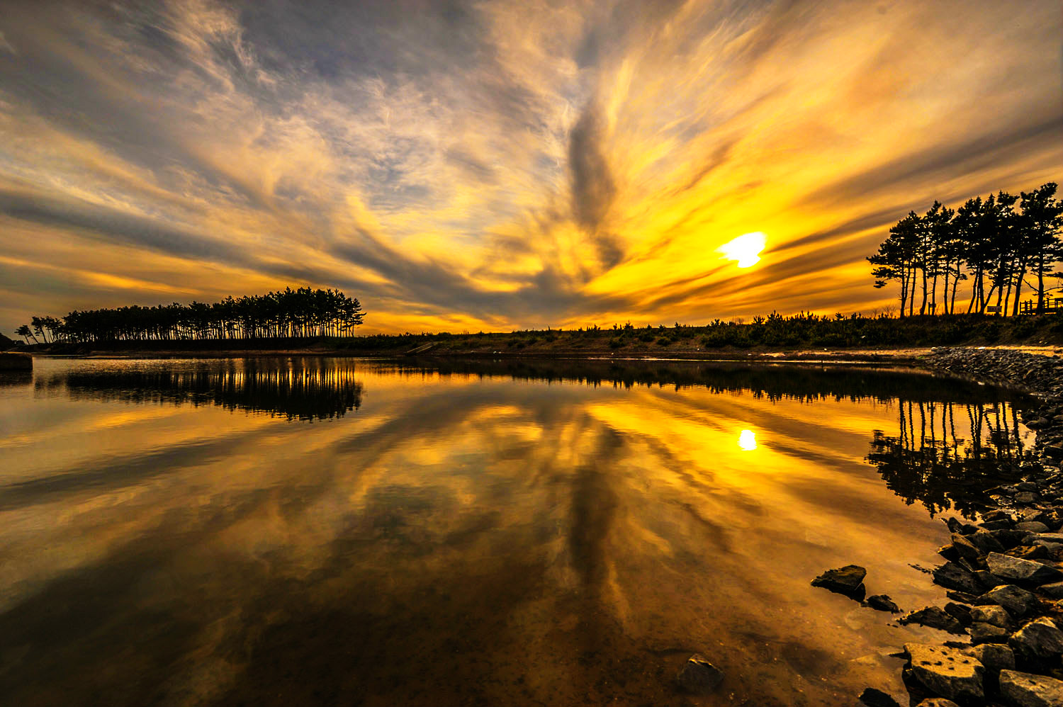 gallery_image