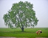 dailyPhoto38