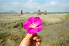 dailyPhoto10