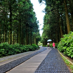 dailyPhoto1
