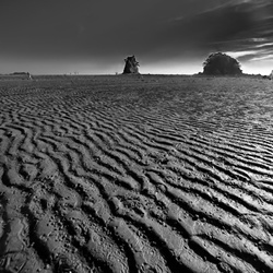 dailyPhoto8