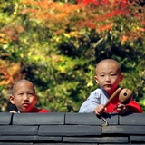 dailyPhoto1
