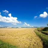 dailyPhoto7