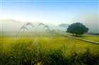 dailyPhoto7