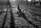 dailyPhoto39