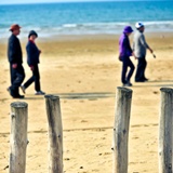 dailyPhoto20