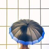 dailyPhoto13