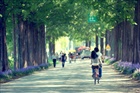 dailyPhoto11