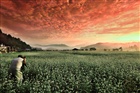 dailyPhoto40