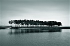dailyPhoto31