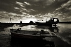 dailyPhoto30
