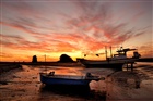 dailyPhoto8