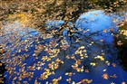 dailyPhoto9
