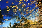 dailyPhoto8