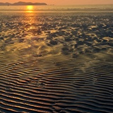 dailyPhoto10