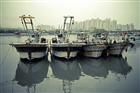 dailyPhoto39