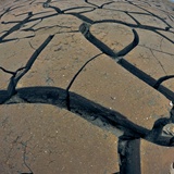 dailyPhoto19