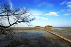 dailyPhoto30