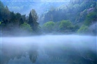 dailyPhoto1