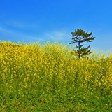 dailyPhoto12