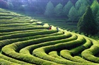 dailyPhoto9