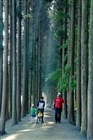 dailyPhoto1