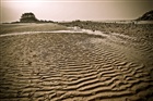 dailyPhoto12