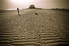 dailyPhoto38