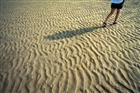 dailyPhoto6