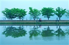 dailyPhoto2
