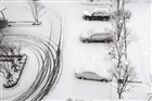 dailyPhoto8