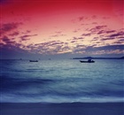 dailyPhoto9
