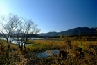 dailyPhoto2