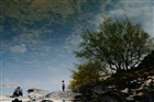dailyPhoto2