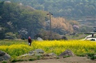 dailyPhoto4