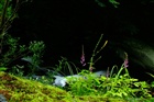 dailyPhoto32