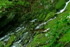 dailyPhoto32