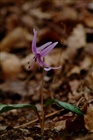 dailyPhoto3