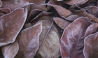 dailyPhoto14