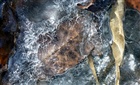 dailyPhoto34