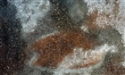 dailyPhoto30