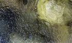 dailyPhoto37