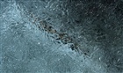 dailyPhoto26