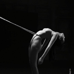 dailyPhoto11