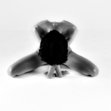 dailyPhoto33