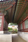 dailyPhoto12