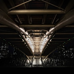 dailyPhoto25