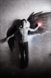 dailyPhoto20